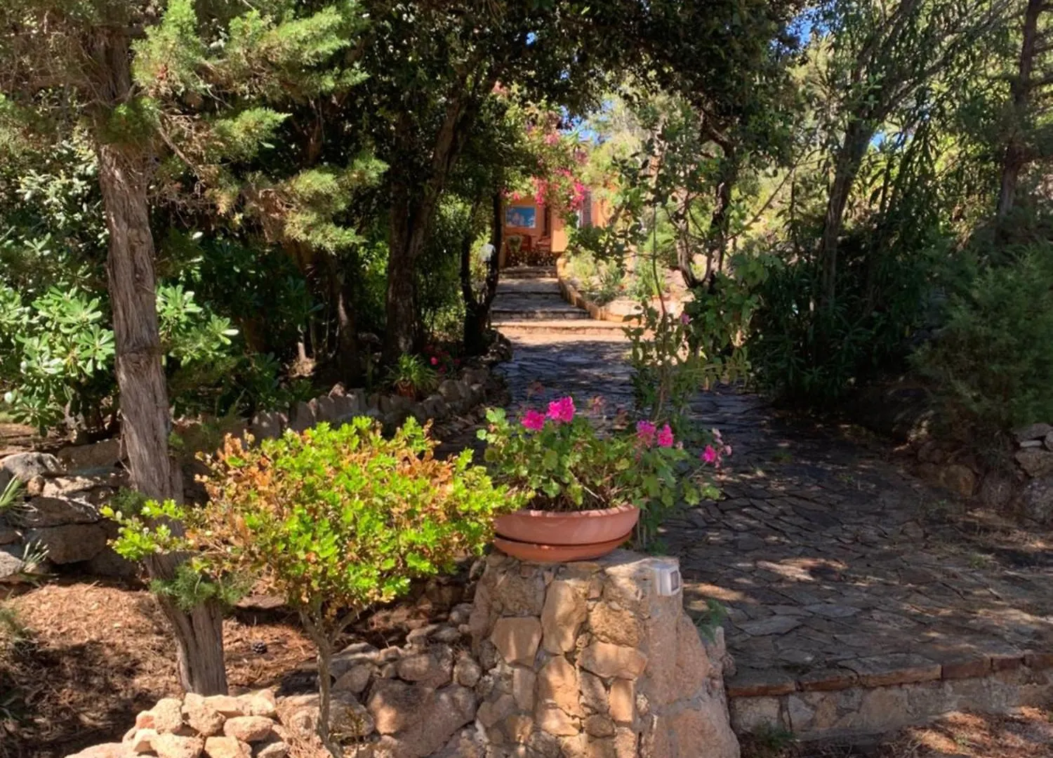Casa de Férias Casa Mimi Vila La Maddalena  Itália